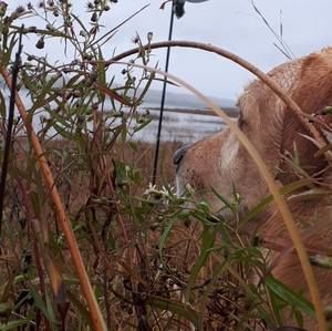 Meet your Posher, Johnny